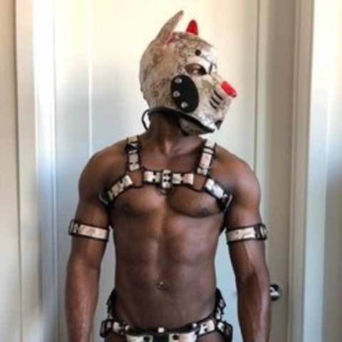 Jabarri Pup OnlyFans Picture