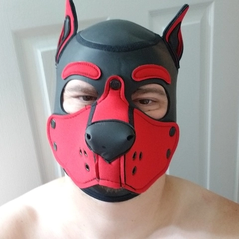Gideon Geeky Pup OnlyFans Picture