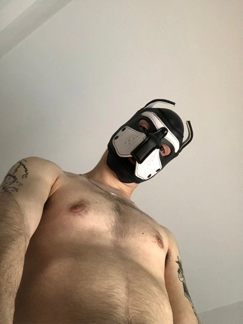 PupOllie OnlyFans Picture