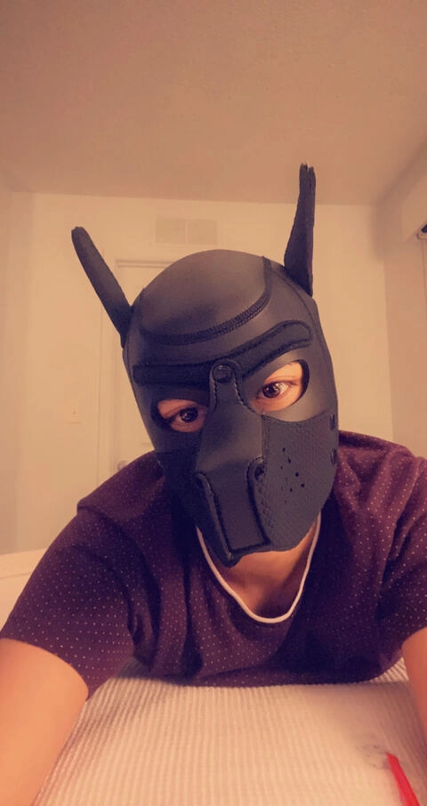 SubbPup OnlyFans Picture