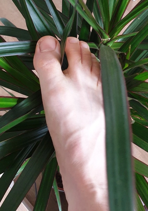 Feet, Food, and Flowers