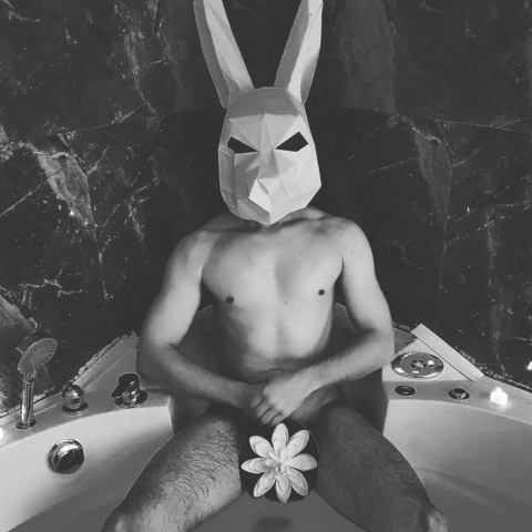 Mr Rabbit OnlyFans Picture