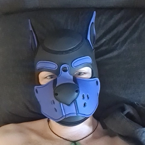 Pup Cojack OnlyFans Picture