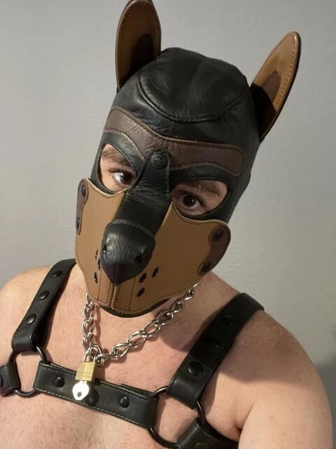 Pup Zeus OnlyFans Picture