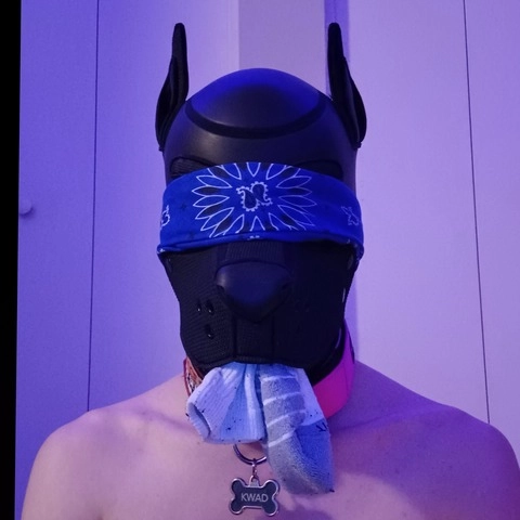Pup Kwad OnlyFans Picture