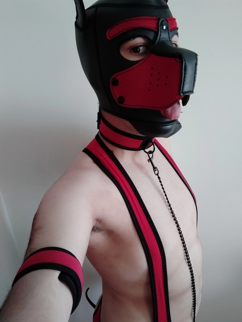 RobiThePup OnlyFans Picture