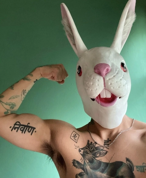 El Conejo Rey 🐇👑 OnlyFans Picture