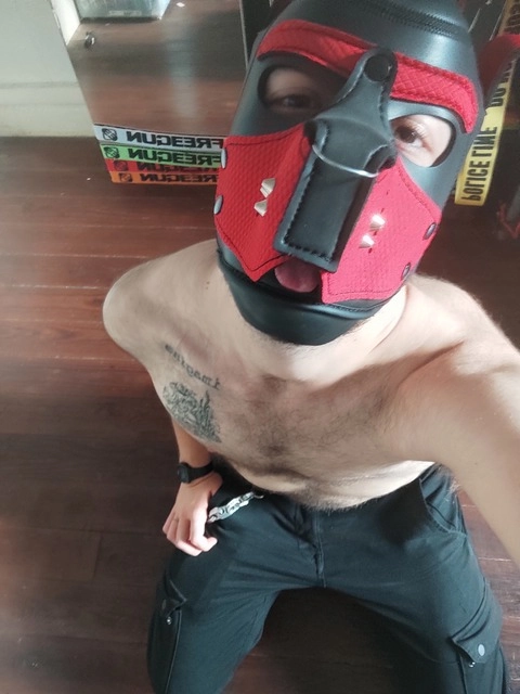 Trex The FtM Pup OnlyFans Picture