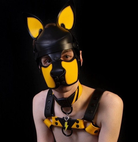 Pup Voltzy OnlyFans Picture