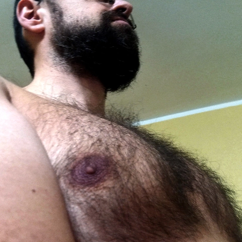 Hairy Teddy ? VIP OnlyFans Picture