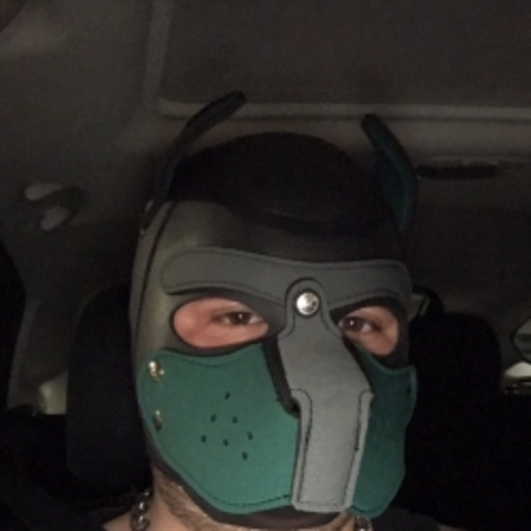 Pup Shadow OnlyFans Picture