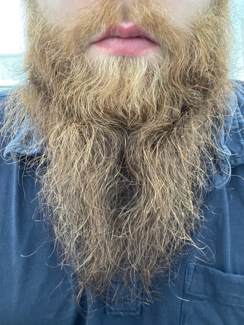 BeardedDadBod