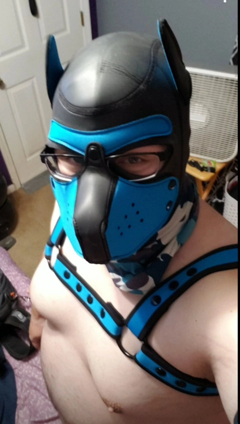 Pup Havoc OnlyFans Picture