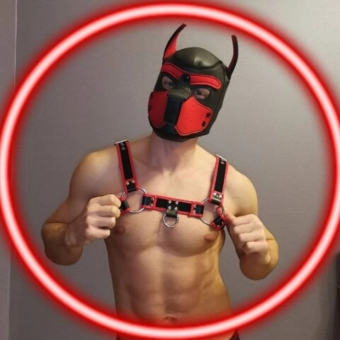 Digiron Pup OnlyFans Picture