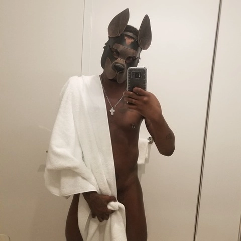 BadPuppyNYC OnlyFans Picture