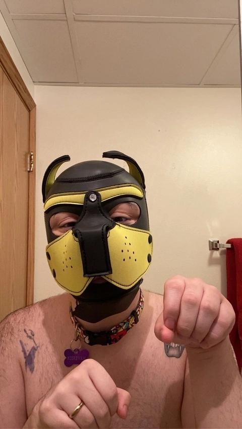 Horny pup OnlyFans Picture