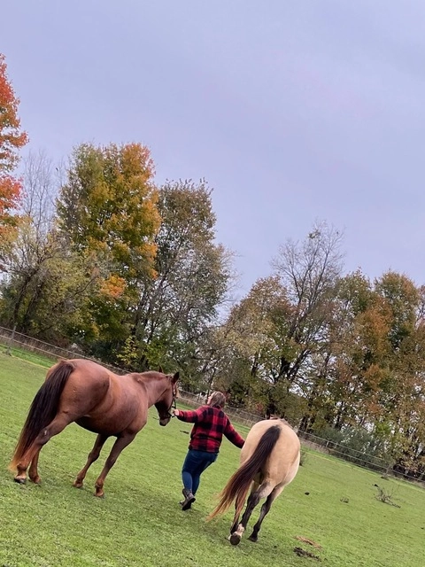 Naughty Farm Girl Fun