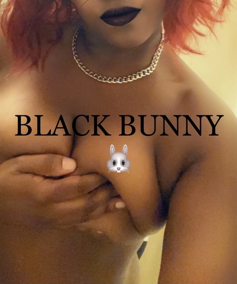 Black Bunny 🐰