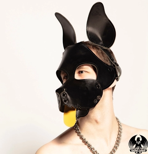 Pup Davey OnlyFans Picture