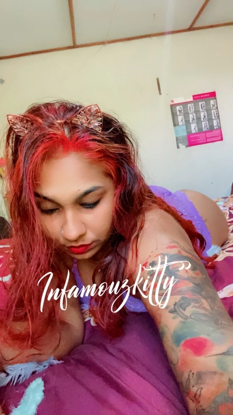 infamouzkitty OnlyFans Picture