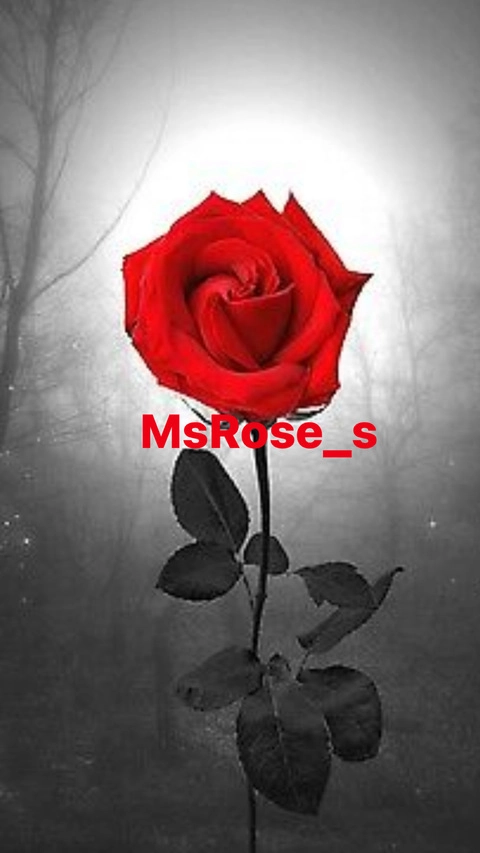 MsRose_S