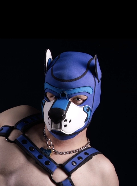 Pup Wilde OnlyFans Picture