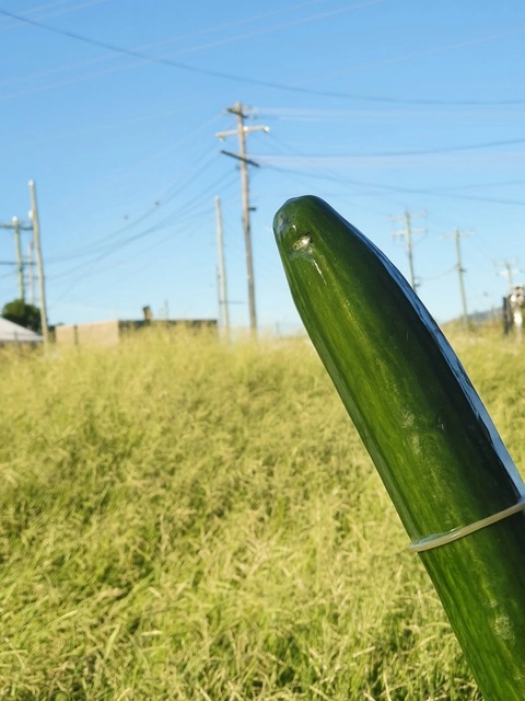 The Chunky Cuke