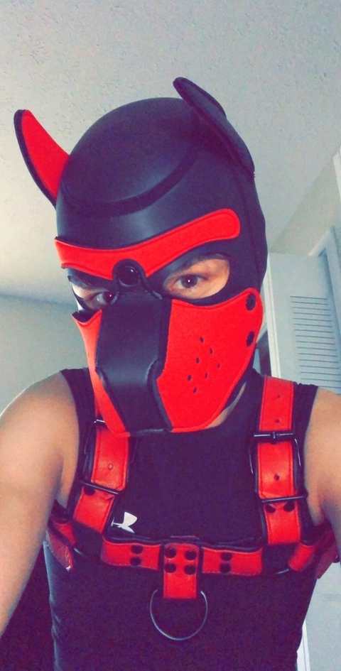 Popper Puppy OnlyFans Picture