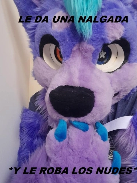 Purpy DA Husky OnlyFans Picture