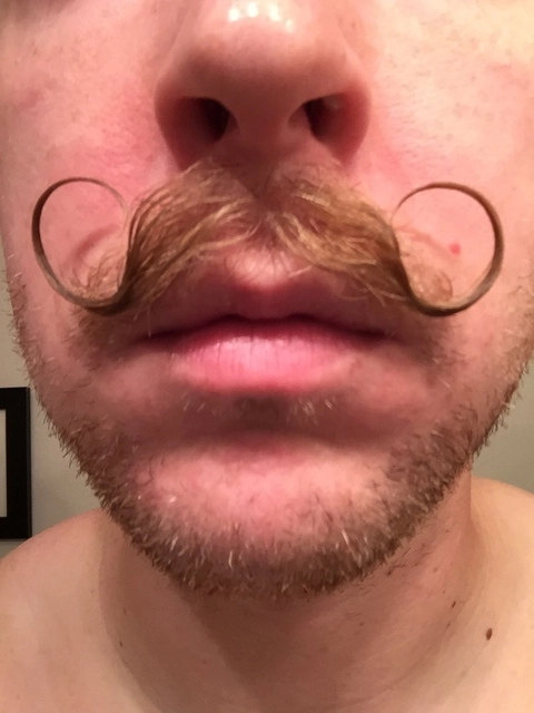 Moustacheo