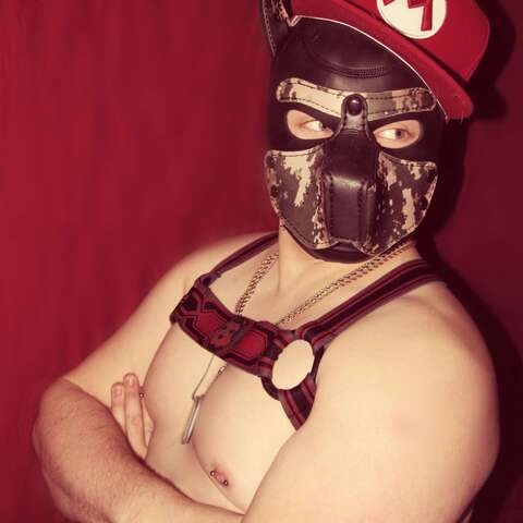 Pup Incubus OnlyFans Picture