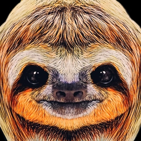 Slothstronaut