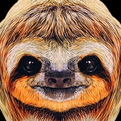 Slothstronaut OnlyFans Picture