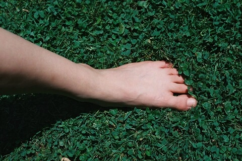 Nymph Feet