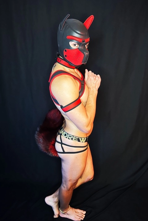 A Pup a Day OnlyFans Picture