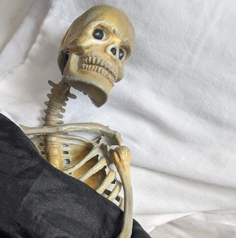 Dead Sexy Bones