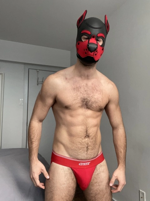 Fit Muscle Pup Xylo OnlyFans Picture