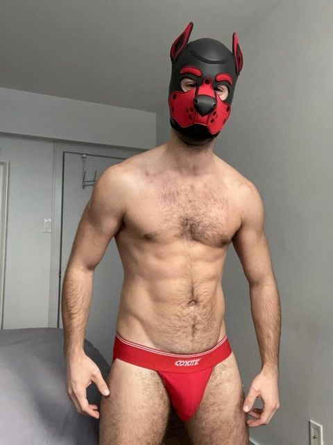 Fit Muscle Pup Xylo