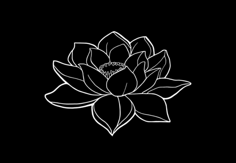 Dark Lotus Fantasies