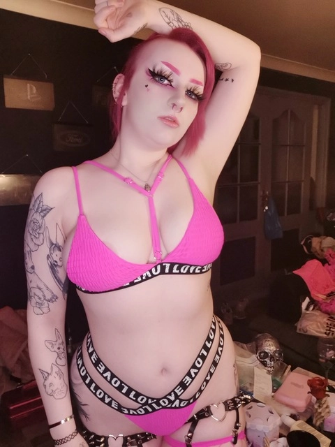 Kitten OnlyFans Picture