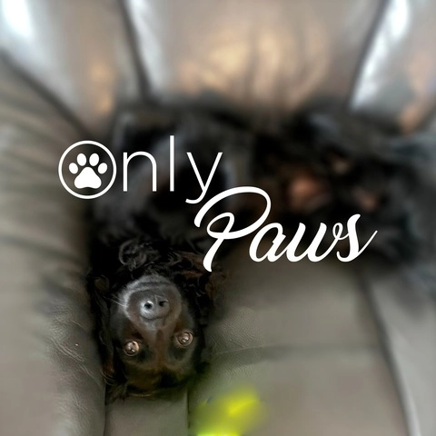 Only Paws OnlyFans Picture