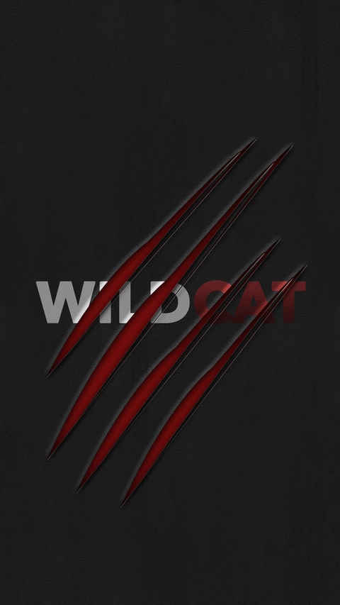 WildCat