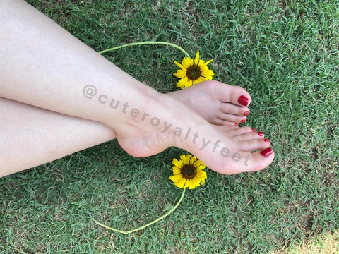 Cuteroyaltyfeet OnlyFans Picture