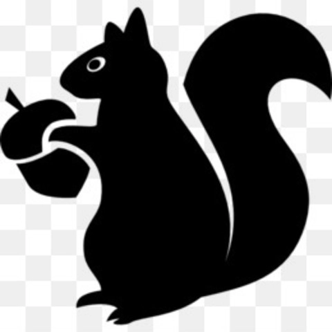 Squirrel1987