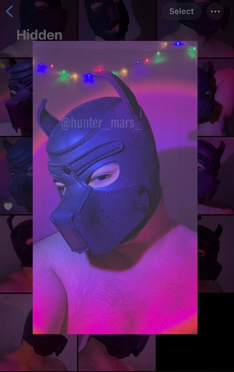 ⋆｡°✩ hunter the pup ✩°｡⋆ OnlyFans Picture