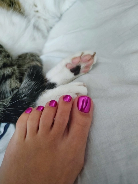 Cute Paws OnlyFans Picture
