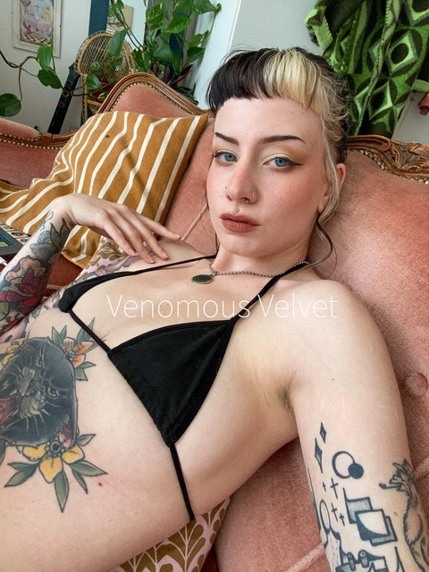 Venomous Velvet OnlyFans Picture