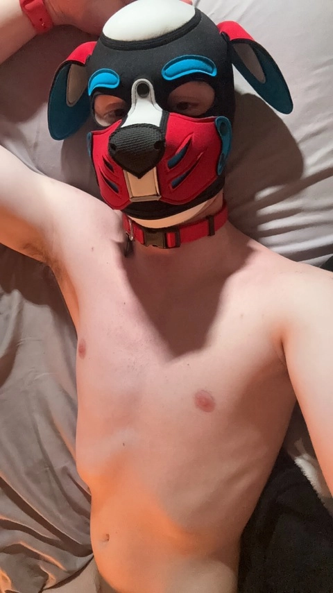 Pup Orpheus OnlyFans Picture