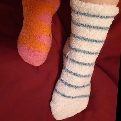 BoyToySocks