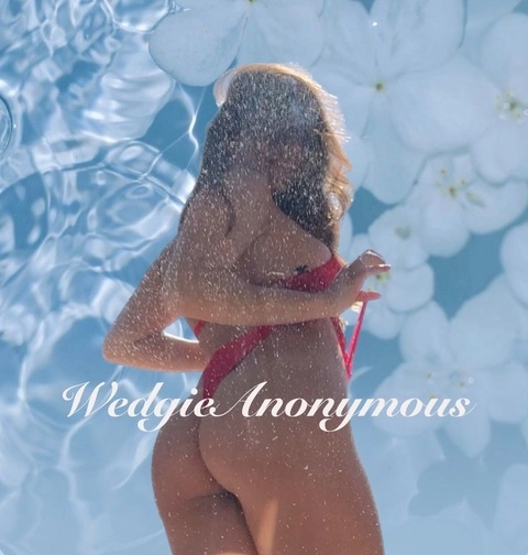 Wedgie Anonymous Clips